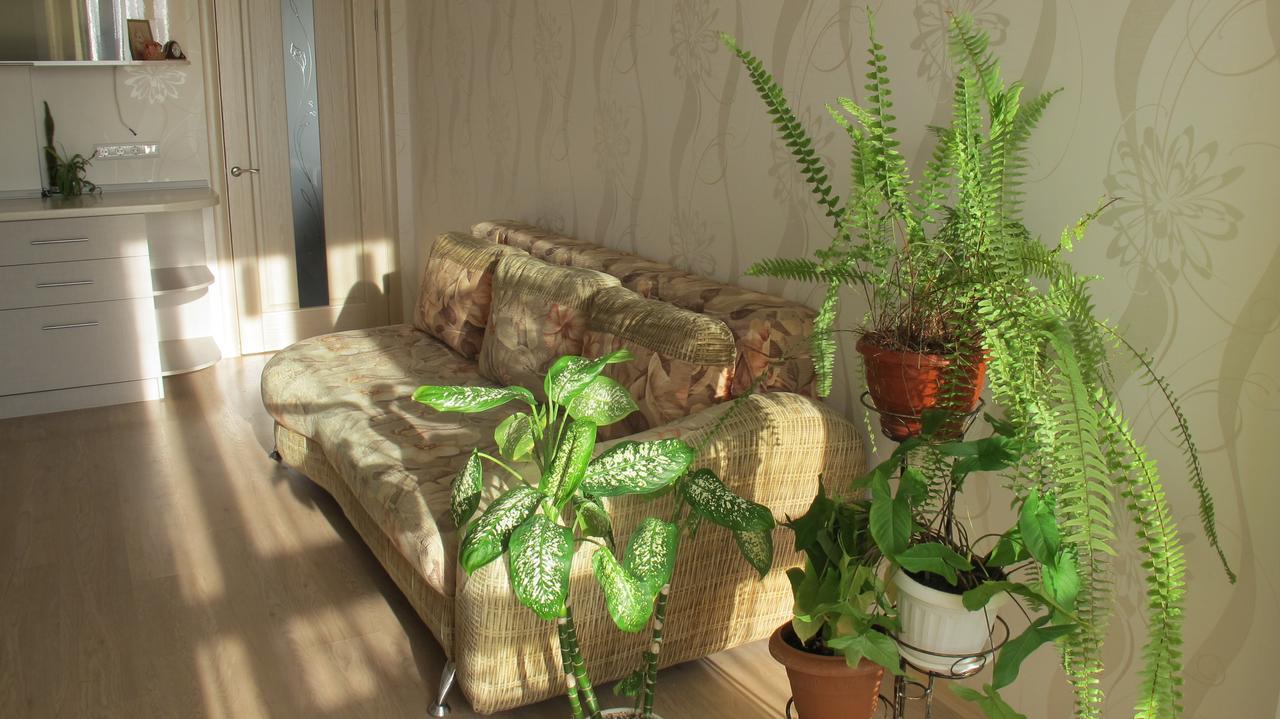 Apartment "Ostrova" Kryzhanivka Extérieur photo